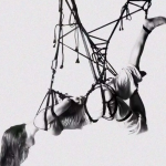 字母圈k9调教之主流玩法【一】_蜜语小圈BDSM俱乐部